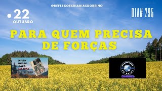 PARA QUEM PRECISA DE FORÇAS DIA 295 [upl. by Ahsiekin385]