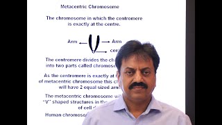 Types of Chromosomes on the basis of position of centromere In Sindhi  XI Biology  Chapter 4 [upl. by Kelila]