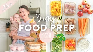 BABY FOOD MEAL PREP  Homemade Purees  Free Downloadable Guide [upl. by Attelrahs]