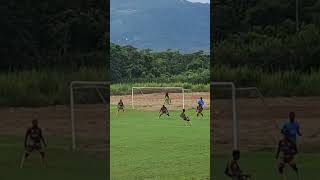 Brilliant Saves by Dinthill Technical goal keeper vs McGrath High School [upl. by Munafo]