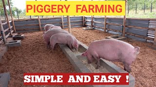 How To START A PIG FARM Business As A BEGINNER  DETAILED [upl. by Worthington]