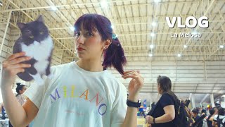 RETOMANDO EVENTOS CHACO vlog [upl. by Cerracchio]