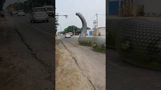 DescriptionBig Anaconda Snake on Video 2snakeShorts [upl. by Essie]