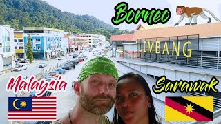 Borneo part 1  Malaysia  Sarawak  Limbang in search of proboscis monkeys [upl. by Schulman400]