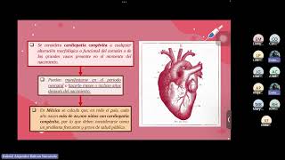 Embriología de Sistema Cardiovascular 2 [upl. by Imorej]