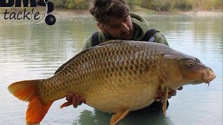 Carp Fishing in France  Roe Deer Part Two [upl. by Rysler]