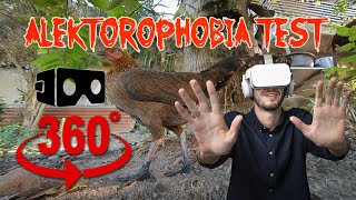 360 Video  Face Your Fears VR  Fear of Chickens  Alektorophobia Test [upl. by Anailuj]