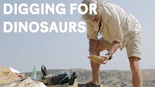 Paleontologists dig for Jurassic dinosaur fossils [upl. by Alohs955]