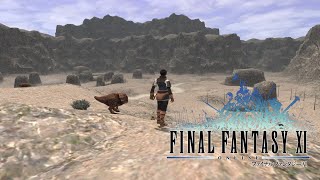 FINAL FANTASY XI  Ambience amp Music  South Gustaberg [upl. by Junia390]