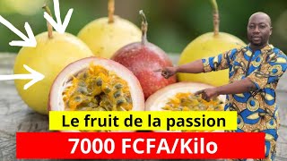 le fruit de la passion une culture très rentable [upl. by Latouche]