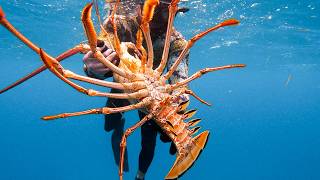 GIANT LOBSTER Bahamas Spearfishing Catch amp Cook [upl. by Gram]