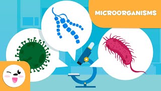 What are microorganisms Bacteria Viruses and Fungi [upl. by Hsina]