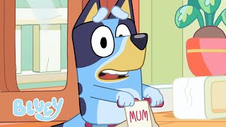 No More Squabbling 😮 💌  Bluey Season 2 Highlight  Postman  Bluey [upl. by Gothart]