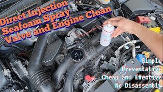 Car Care  Seafoam PT 2  Seafoam Spray Added To Air Intake PreOil Change [upl. by Henson649]