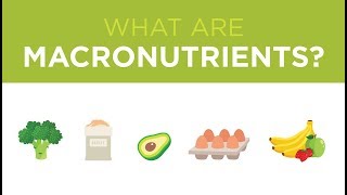 What are Macronutrients [upl. by Knoll271]