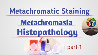 Metachromatic Staining ll Metachromasia ll Histology [upl. by Annazus]