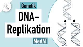 DNA Replikation einfach erklärt  Genetik  MedAT  Biologie [upl. by Neenad951]