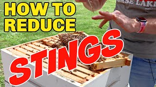 Beekeeping How To Reduce Your Chances Of Being Stung [upl. by Ycrem]