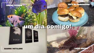 VLOG limpei aquário novos peixes instalei quadros e plantas noite do mini hambúrguer [upl. by Cohl]