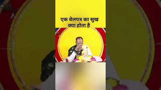 एक बेलपत्र का सुख क्या होता है pradeepmishrajikishivpurankathaupayshortfeedtrending katha [upl. by Newfeld]