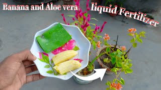 Easy and free fertilizer for any plants  Banana and Aloe vera fertilizer [upl. by Ailehs]