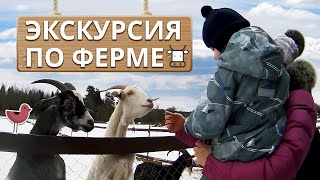 Живая экскурсия на ферму Захаровых  Как развивать агротуризм в России [upl. by Ande]