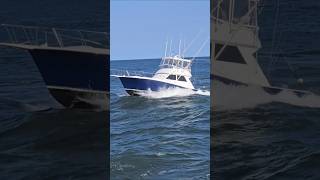 Trident  Gorgeous Boat Heads Back Through The Manasquan Inlet [upl. by Olumor]