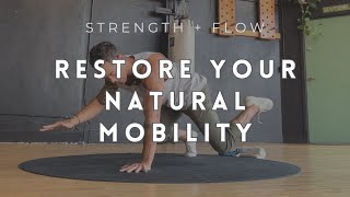 RESTORE YOUR BODY • 18minute NATURAL MOBILITY Session [upl. by Doownelg556]