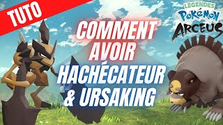 TUTO COMMENT AVOIR URSAKING ET HACHECATEUR DANS LEGENDS POKEMON ARCEUS  GUIDE [upl. by Woo110]