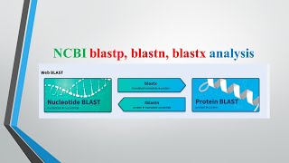 How to perform blast analysis on NCBI  Tutorial 5 [upl. by Wordoow]