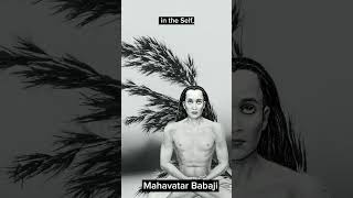 Lasting Happiness  Mahavatar Babaji [upl. by Dachy]