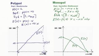 Polypol und Monopol  Preisfunktion Erlöse Kosten und Gewinnfunktion [upl. by Jaine]