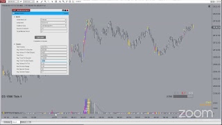 Intro to New VolumeAnalyst amp BlackBird  NT8 31st July  330 PM Central [upl. by Chambers]