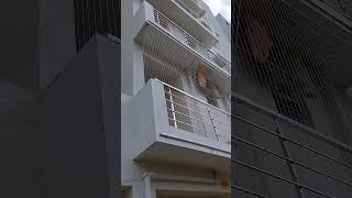 invisible grill work by ELEMENTRA HOME SPACE HYDERABAD AT RASAPALEM TIRUPATI ROAD TADASULLURPETA AP [upl. by Ymaj]