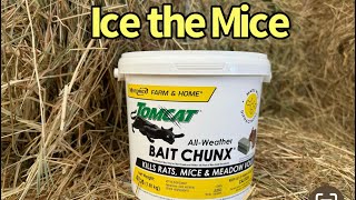 Now’s the Time for Rodent Control Using TomCat Bait Chunx [upl. by Loziram]