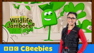 CBeebies Continuity saturday 29072017 [upl. by Aydni]