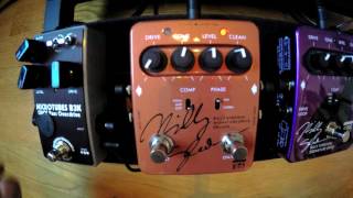 DARKGLASS B3K vs EBS BILLY SHEEHAN SIGNATURE DRIVE STANDARD amp DELUXE [upl. by Adnam440]