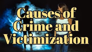 Causes of Crime and Victimization [upl. by Martino]