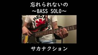 bass solo 忘れられないの  サカナクション bass slapbass basscover スラップベース bassguitar bassist [upl. by Nojad817]