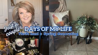 “Several” DAYS IN MY LIFE  THRIFT HAUL amp  how I’m using some of it thrifthaul dayinthelife [upl. by Clementina226]