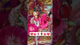 Saanwre shyam 🪷💖 krishna vrindavan krishnabhajan radheradhe youtubeshorts shortsvideo shorts [upl. by Nirroc]