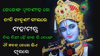 Dil Diya Hai Jaan Bhi Denge Ye Watan Tere Liye Style Beautiful Mahamantra ଦିଲ୍ ଦିଆହୈ ଜାନ୍ ଭି ଦେଙ୍ଗେ [upl. by Roch687]