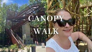 Walking in the Trees A Canopy Walk [upl. by Asilehc]