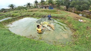 PASSANDO O PENEIRÃO NO TANQUE DE PEIXE GIGANTES [upl. by Eladnwahs642]