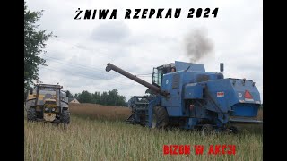 🔥ŻNIWA RZEPAKU 2024🔥URSUS 1614 amp BIZON Z056🔥🥵 [upl. by Dalpe]