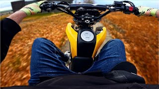 Doing WHEELIES on my HONDA GROM everywhere except the MAIN ROAD [upl. by Iolanthe]