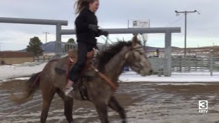 Visitors enjoy Montana Winter Fair in Lewistown [upl. by Farrah]