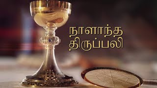 DAILY HOLY MASS TAMIL  23 11 2024 [upl. by Ailemrac]