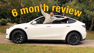 Tesla Model Y  6 months later the good and the bad [upl. by Dnumde]