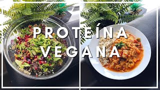 3 recetas VEGANAS altas en PROTEÍNA 🥦 [upl. by Cyrus273]